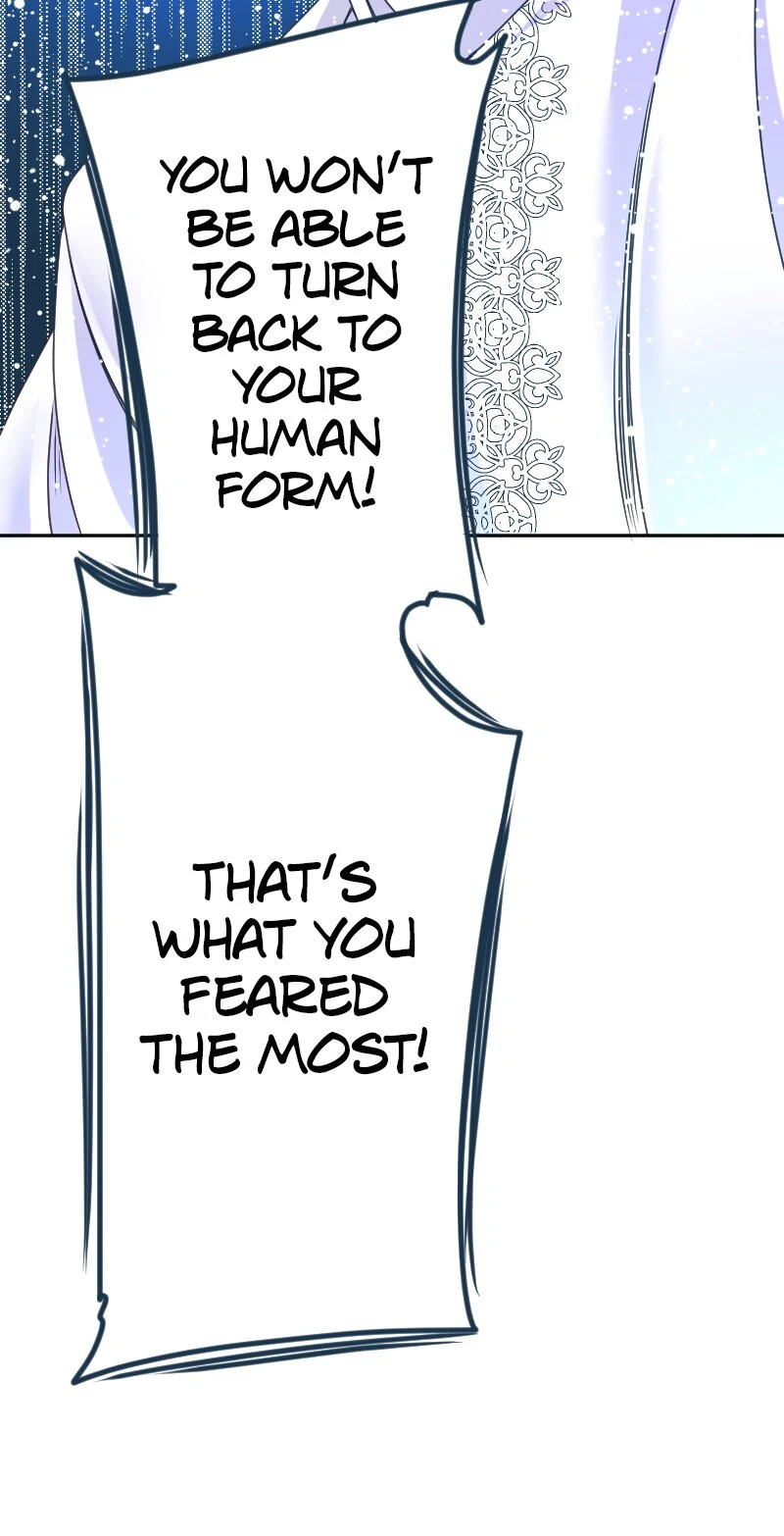 76472398 800 1566 109762